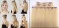 Clip in hair extensions 843.jpg