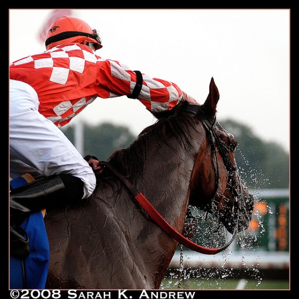 Arquivo:FreshCoolers.co.uk 2915.jpg